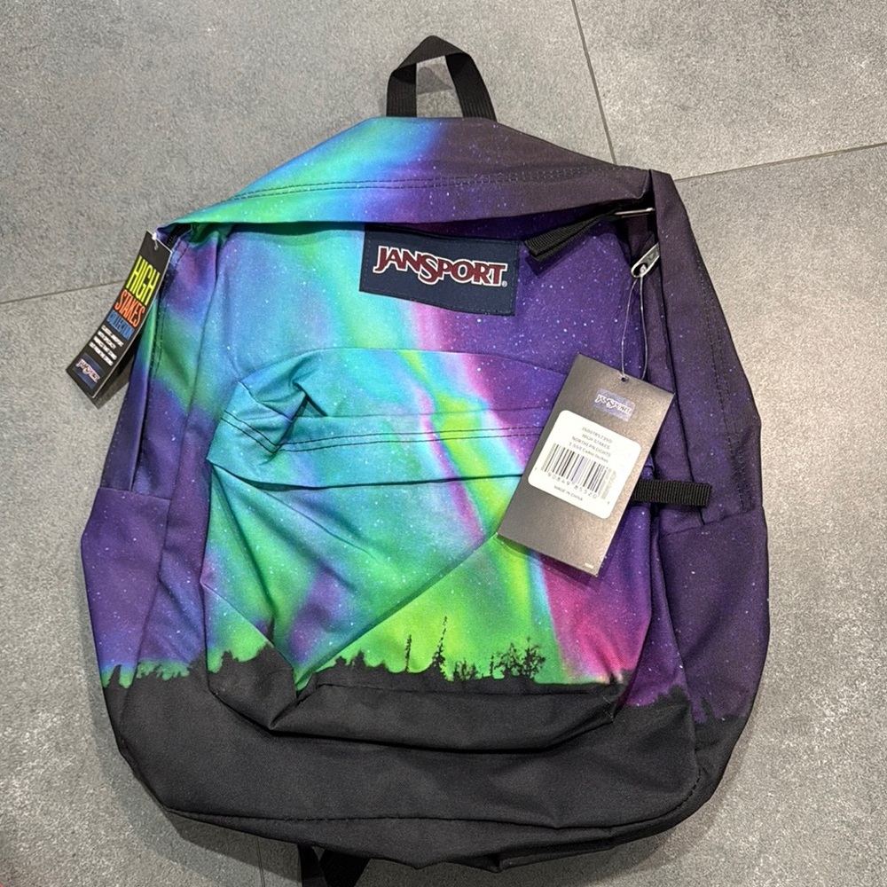 Jansport Purple and Green Backpack with Gradient Design